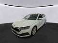 Skoda Octavia Combi 2.0 TDI DSG Style 18"LM AHK AHK HeadUp Weiß - thumbnail 3