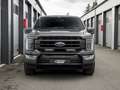 Ford F 150 F-150 Lariat SuperCrew LongBed 5,0 L V8 AT 4x4 ... Gris - thumbnail 5