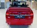 Ford Focus Cabriolet 1.6i *Pininfarina*Garantie 12 mois Rood - thumbnail 7