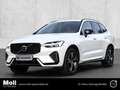 Volvo XC60 R Design 2WD B4 Diesel EU6d Navi Digitales Cockpit Weiß - thumbnail 1