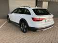Audi A4 allroad quattro 2.0 TDI Pro Line Plus Blanc - thumbnail 5