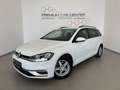 Volkswagen Golf Variant Rabbit 40 TDI SCR DIGI-TACHO / LED / ACC / KAMERA Weiß - thumbnail 3