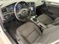 Volkswagen Golf Variant Rabbit 40 TDI SCR DIGI-TACHO / LED / ACC / KAMERA Weiß - thumbnail 12