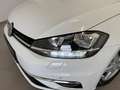 Volkswagen Golf Variant Rabbit 40 TDI SCR DIGI-TACHO / LED / ACC / KAMERA Weiß - thumbnail 8