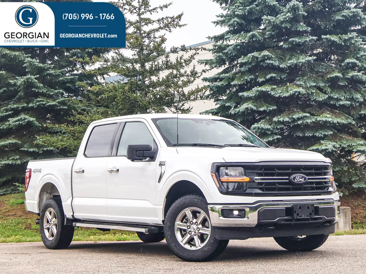 2024 Ford F 150