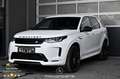 Land Rover Discovery Sport 2.0 P300e R Dynamic Pickerl NEU Weiß - thumbnail 1