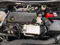 Ford Kuga Titanium 2.0 Eco Blue Automatik 4WD Blu/Azzurro - thumbnail 23