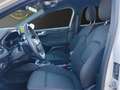 Ford Focus 1.0 EcoBoost Mild-Hybrid Beige - thumbnail 10