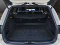 Ford Focus 1.0 EcoBoost Mild-Hybrid Beige - thumbnail 19