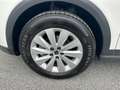 SEAT Arona Austria Edition 1.0 TSI Weiß - thumbnail 4