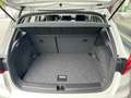 SEAT Arona Austria Edition 1.0 TSI Weiß - thumbnail 8