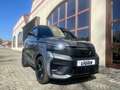 Ligier JS 50 Elite mit neuem Diesel Euro5+ Motor Gris - thumbnail 7