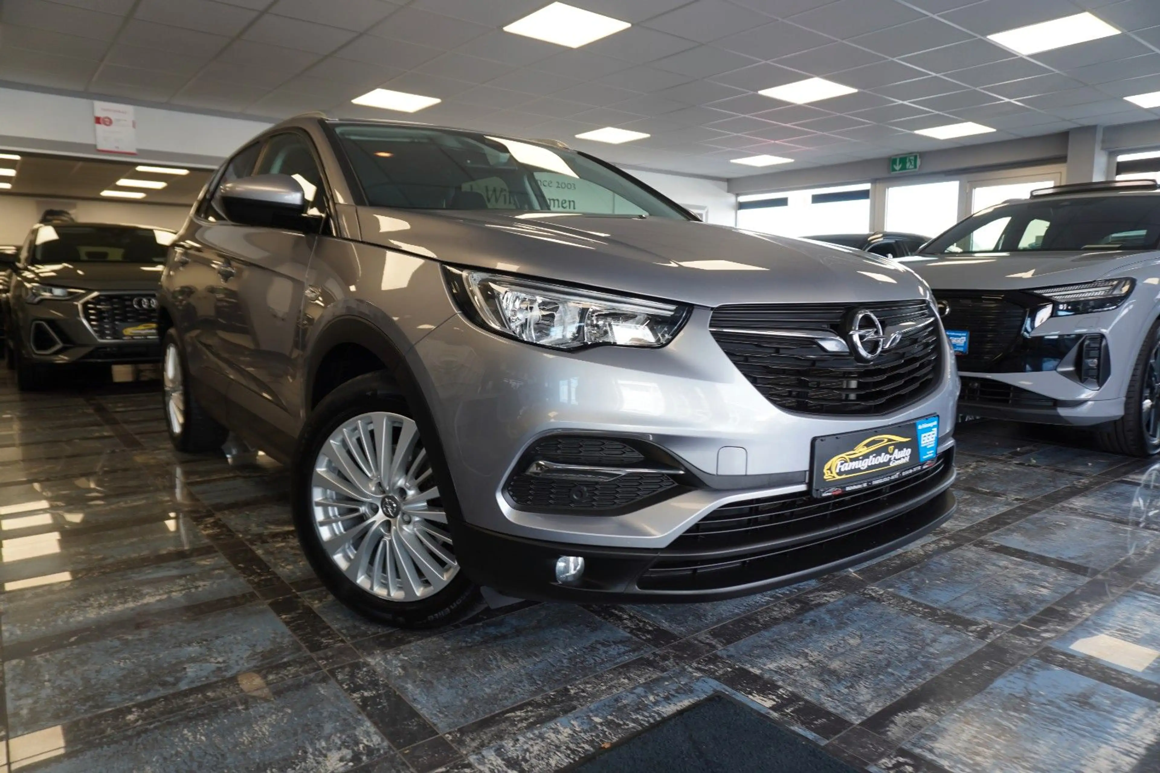Opel Grandland X Edition/Klimaauto/Aluräder/SHZ — photo 3