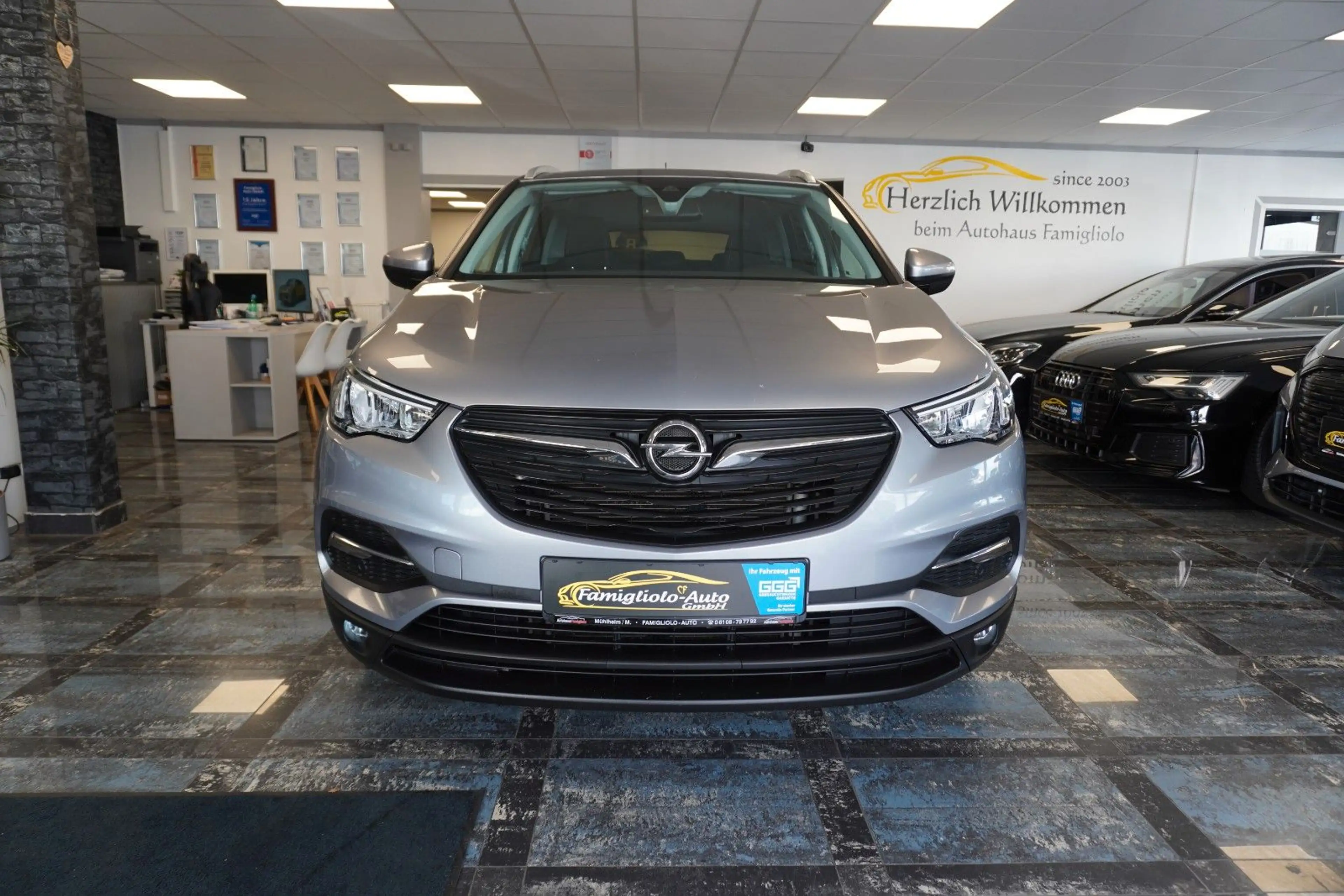 Opel Grandland X Edition/Klimaauto/Aluräder/SHZ — photo 5