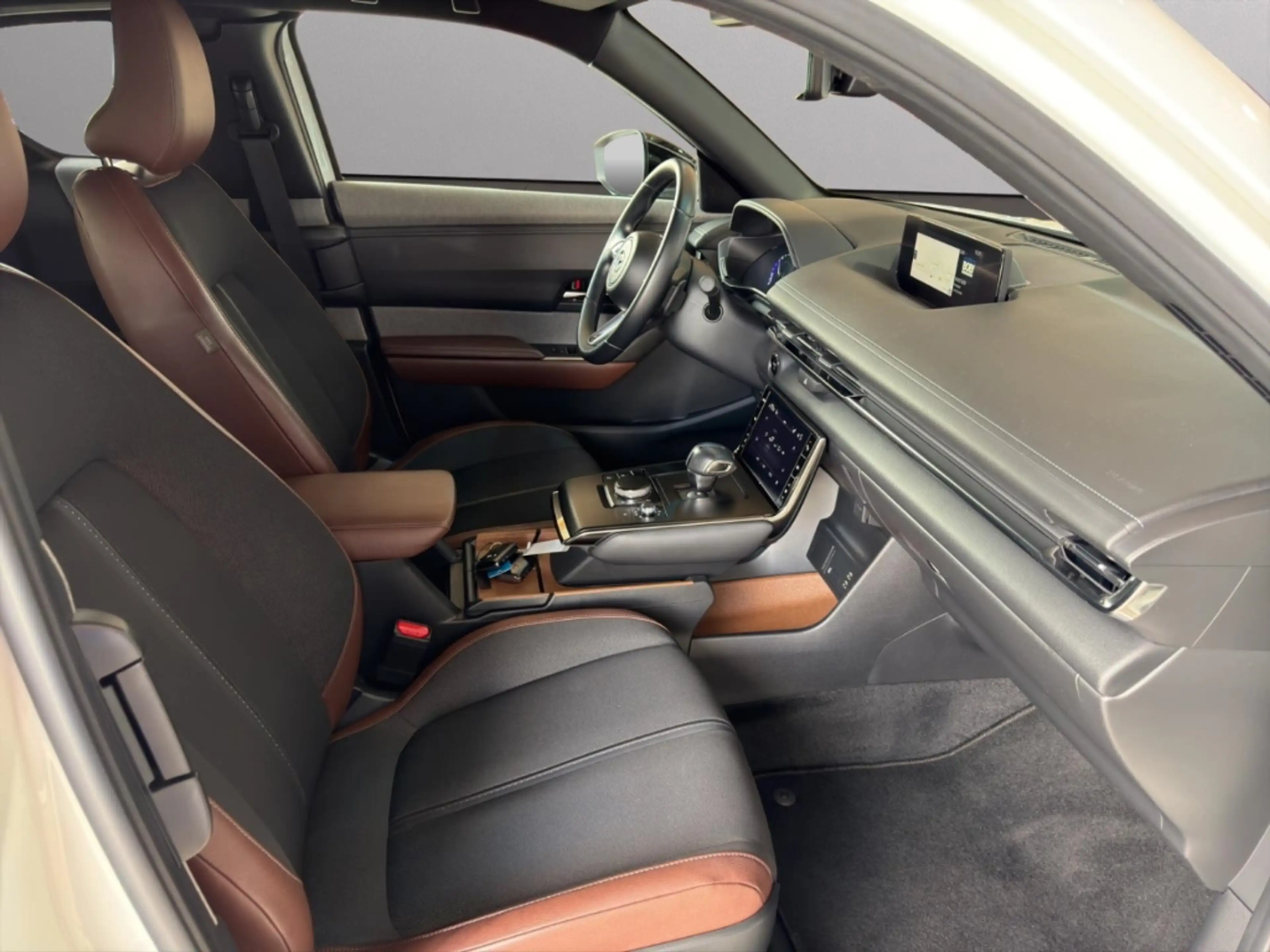 Mazda MX-30 Ad'vantage e-SKYACTIV HUD Navi e-Sitze Allwetterre — photo 8