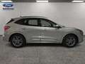 Ford Kuga 1.5 ECOBLUE 88KW ST-LINE 5P - thumbnail 6