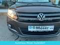 Volkswagen Tiguan Sport & Style NAVI/MFL/SH/ Braun - thumbnail 6