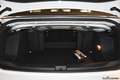 Volkswagen T-Roc Cabriolet 1.5 TSI Automatik Goal LED PDC ACC SzHzg Weiß - thumbnail 3