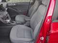Hyundai IONIQ HEV 1.6 GDI Klass Червоний - thumbnail 10