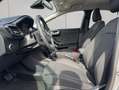 Ford Puma 1.0 EcoBoost Aut. TITANIUM NAVI+LED+PDC Argent - thumbnail 11