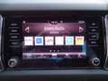 Skoda Kodiaq 2.0 TSI DSG 4x4 LED Navi Sitzheizung AHK Bleu - thumbnail 12