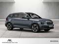Skoda Kamiq 1.0 TSI Tour DSG AHK Navi ACC Matrix RFK Optik sch Grau - thumbnail 7