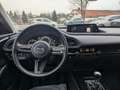 Mazda CX-30 SKYACTIV-G Selection, Premium-Paket Blau - thumbnail 10
