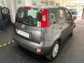Fiat New Panda 1.2 Garagenwagen Rentner geb.1940 Gri - thumbnail 8