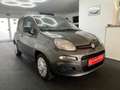 Fiat New Panda 1.2 Garagenwagen Rentner geb.1940 Gri - thumbnail 3