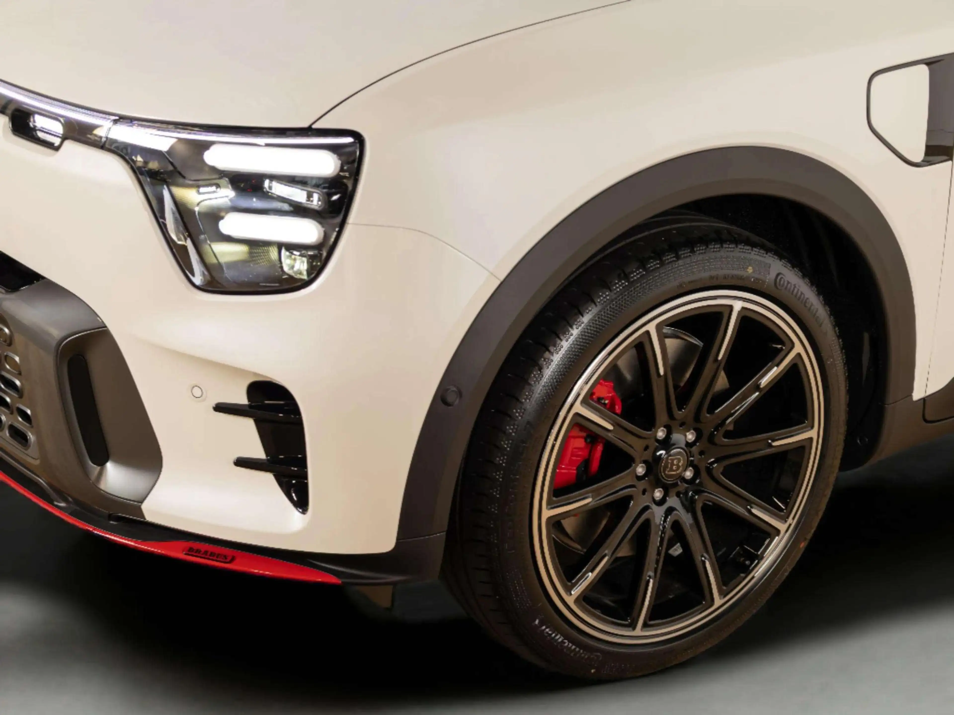 smart #5 Brabus 100 kWh — photo 6