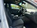 Hyundai i30 N FASTBACK 2.0 T-GDI DCT + NAVI - SOFORT LIEFERBAR Weiß - thumbnail 14