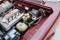 Alfa Romeo 1750 Berlina Series 2 Rojo - thumbnail 38