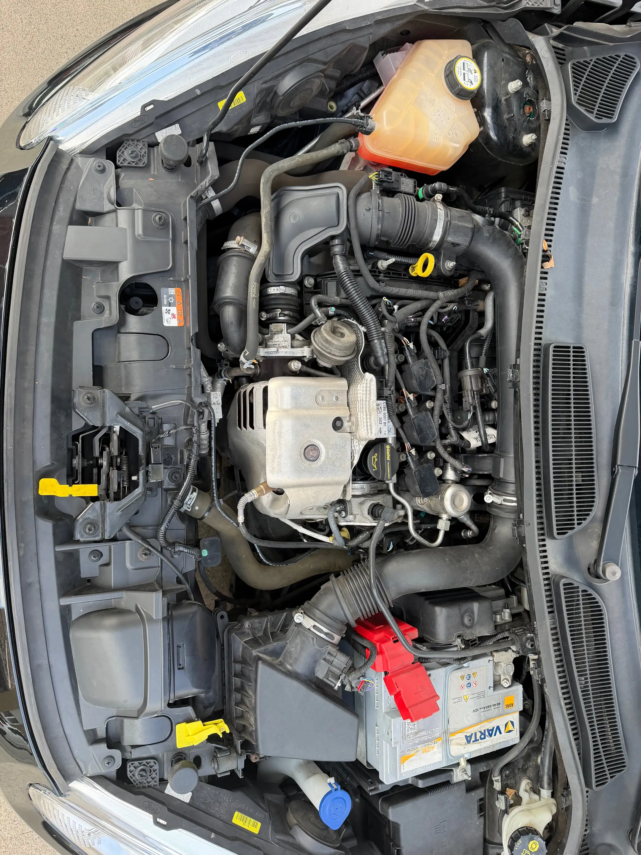 Ford Fiesta Fiesta 1.0 EcoBoost Titanium S/S — photo 11