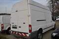 Ford Transit Kasten FT 350 L Trend LKW  ALLRAD Wit - thumbnail 4