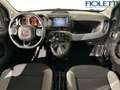 Fiat Panda 1.0 FIREFLY S&S HYBRID Nero - thumbnail 6