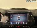 Fiat Panda 1.0 FIREFLY S&S HYBRID Nero - thumbnail 10