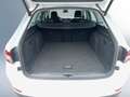 Skoda Superb Style TDI DSG Weiß - thumbnail 12