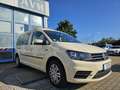 Volkswagen Caddy Maxi Trendline BMT Taxi, 7 Sitzer, Leder Amarillo - thumbnail 2