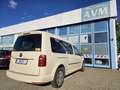 Volkswagen Caddy Maxi Trendline BMT Taxi, 7 Sitzer, Leder Amarillo - thumbnail 3