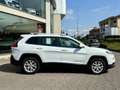 Jeep Cherokee Cherokee 2.2 Mjt II 185 CV 4WD Active Drive I Lon Weiß - thumbnail 9