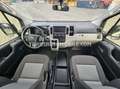 Toyota Hiace HIGH ROOF / TOIT HAUT - EXPORT OUT EU TROPICAL VER Wit - thumbnail 10