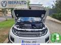Land Rover Range Rover Evoque 2.0TD4 HSE Dynamic 4WD Aut. 150 Weiß - thumbnail 13