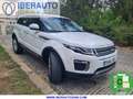 Land Rover Range Rover Evoque 2.0TD4 HSE Dynamic 4WD Aut. 150 Weiß - thumbnail 3