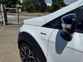 Ford EcoSport 1.0 Ecoboost 125CV ACTIVE " OTTIMO PREZZO " - thumbnail 5