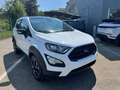 Ford EcoSport 1.0 Ecoboost 125CV ACTIVE " OTTIMO PREZZO " - thumbnail 2