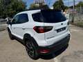 Ford EcoSport 1.0 Ecoboost 125CV ACTIVE " OTTIMO PREZZO " - thumbnail 4