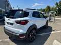Ford EcoSport 1.0 Ecoboost 125CV ACTIVE " OTTIMO PREZZO " - thumbnail 3