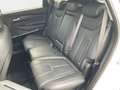 Hyundai SANTA FE 2.2 CRDi Premium +AHK+Navi+R.Kam+Leder++ White - thumbnail 10