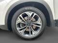 Hyundai SANTA FE 2.2 CRDi Premium +AHK+Navi+R.Kam+Leder++ White - thumbnail 15