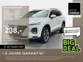 Hyundai SANTA FE 2.2 CRDi Premium +AHK+Navi+R.Kam+Leder++ White - thumbnail 1